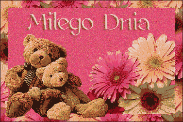 Miłego dnia misie gerbery